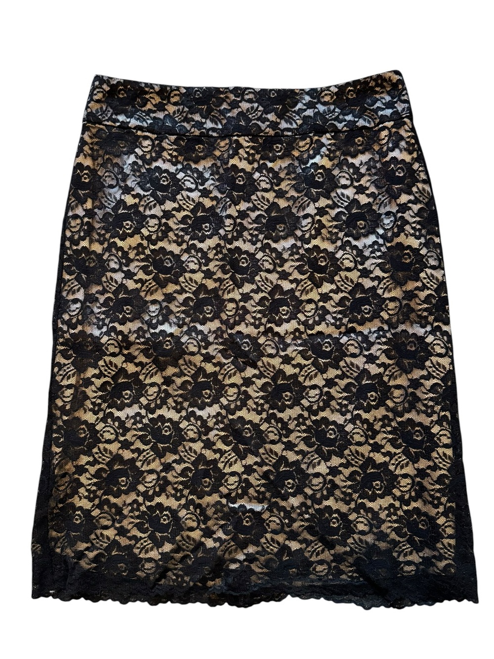 Banana Republic Black Lace Pencil Skirt over Nude Lining